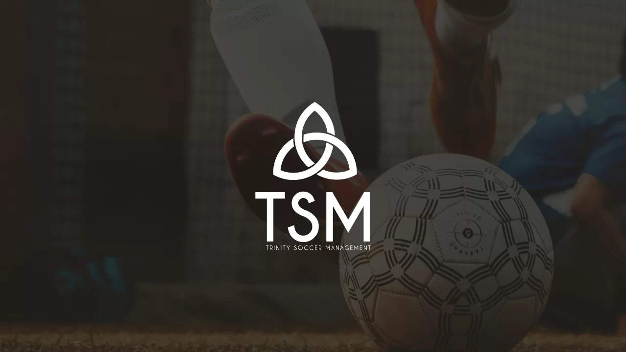 ImageHover TSM