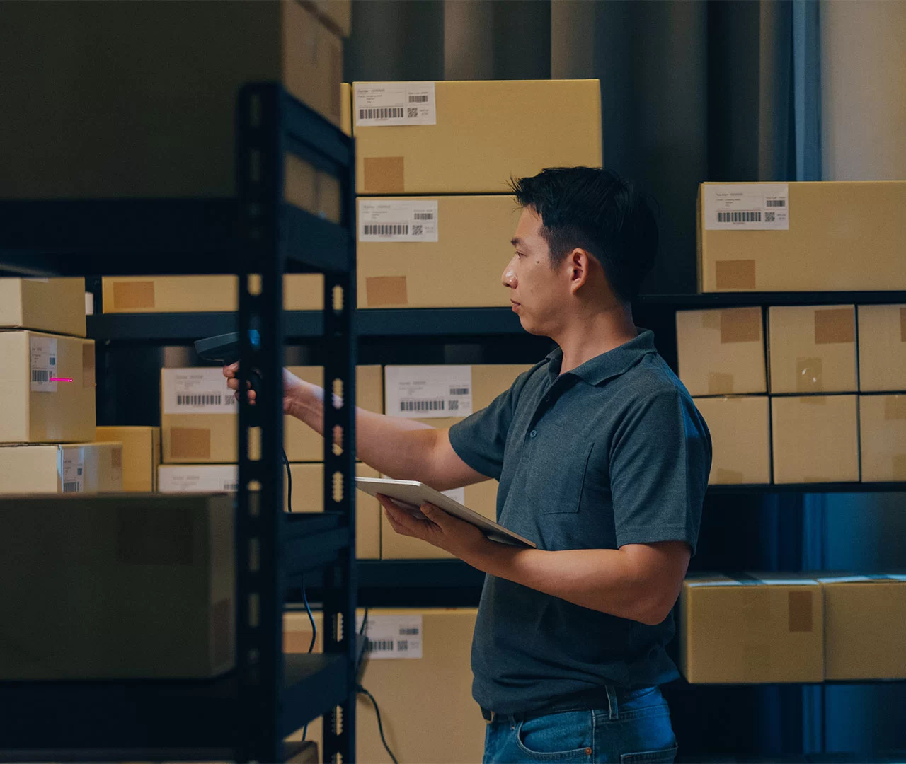 LOGISTICA01
